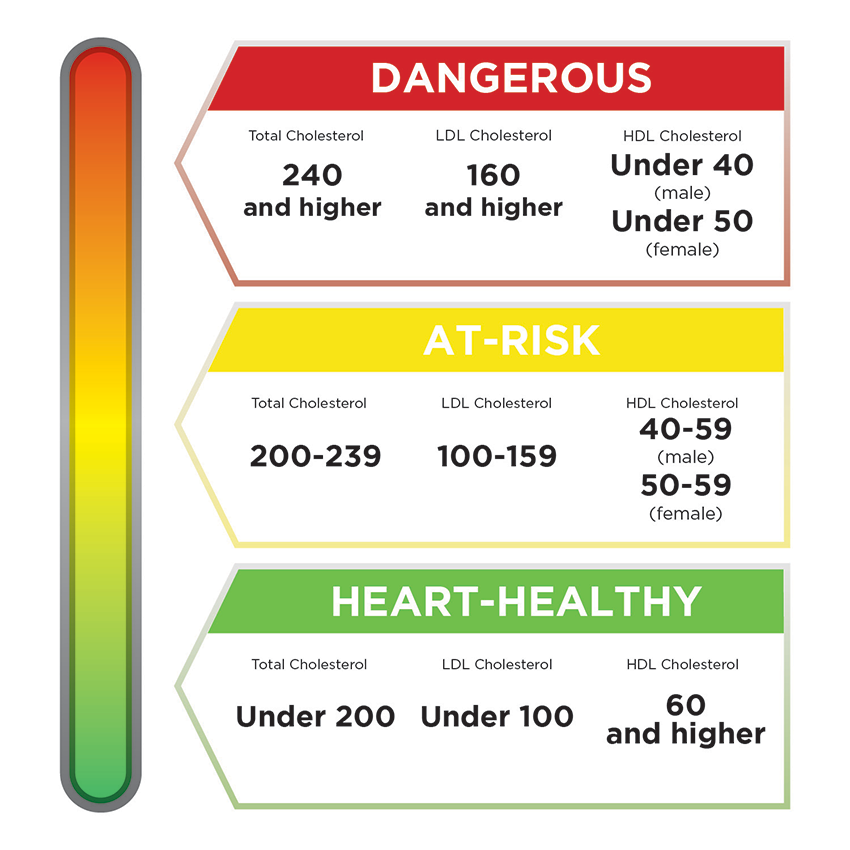 A graphic representation of the healthy and unhealthy cholesterol ranges listed previously.