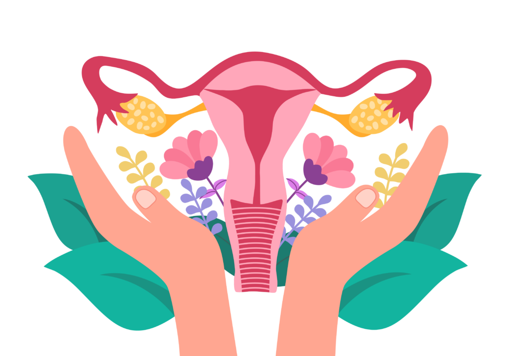 Illustration of female reproductive system surrounded by flowers